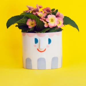 Manu / Ceramic Pot