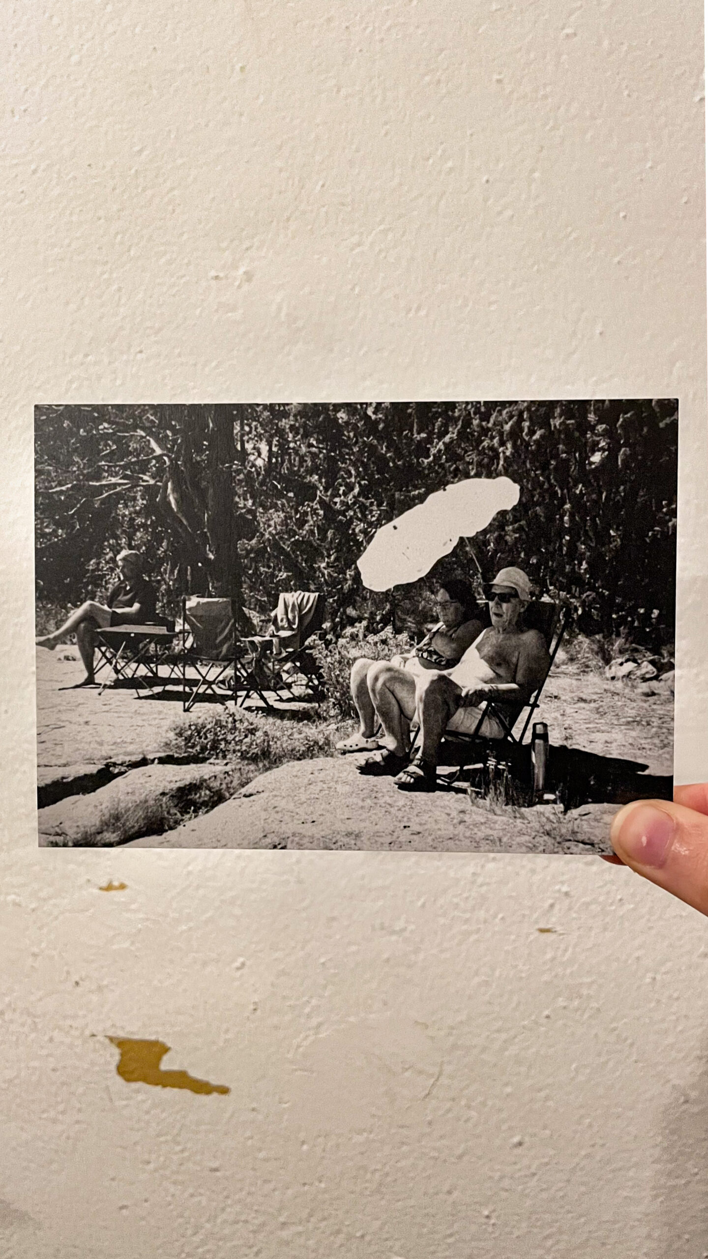 Postcard / Ella Linnér