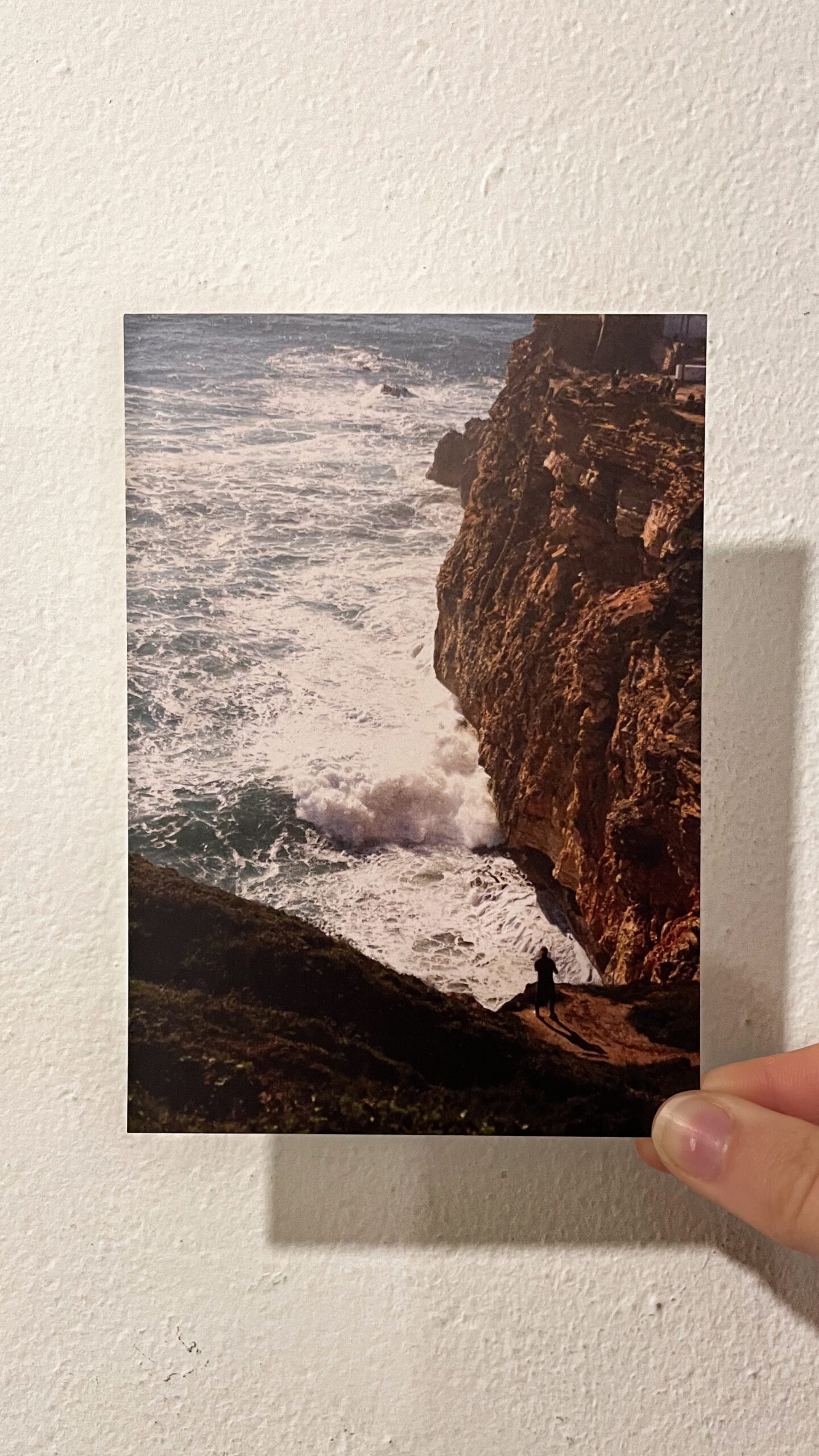 Postcard / Ella Linnér