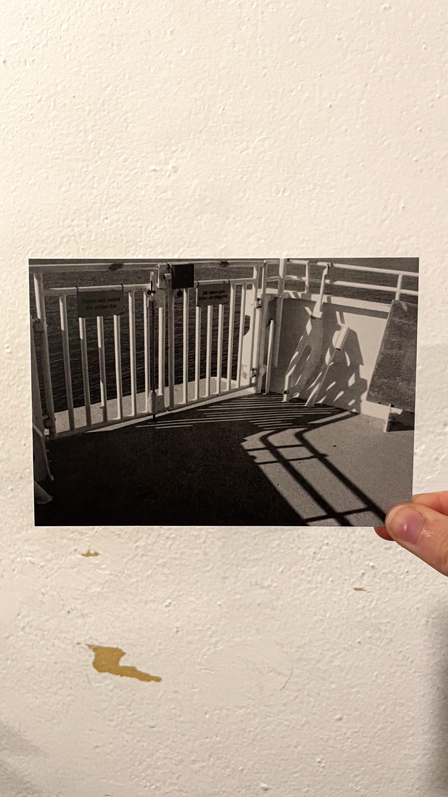 Postcard / Ella Linnér