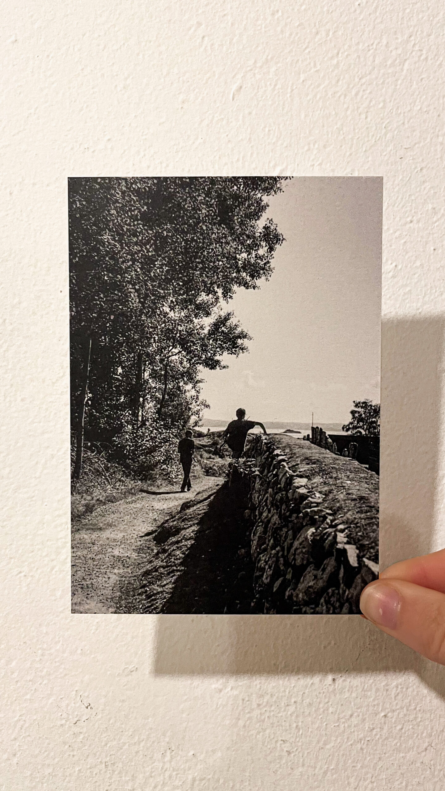 Postcard / Ella Linnér