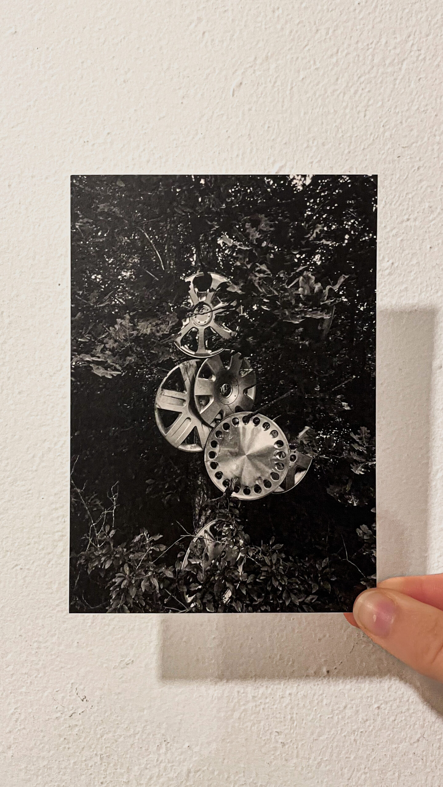 Postcard / Ella Linnér